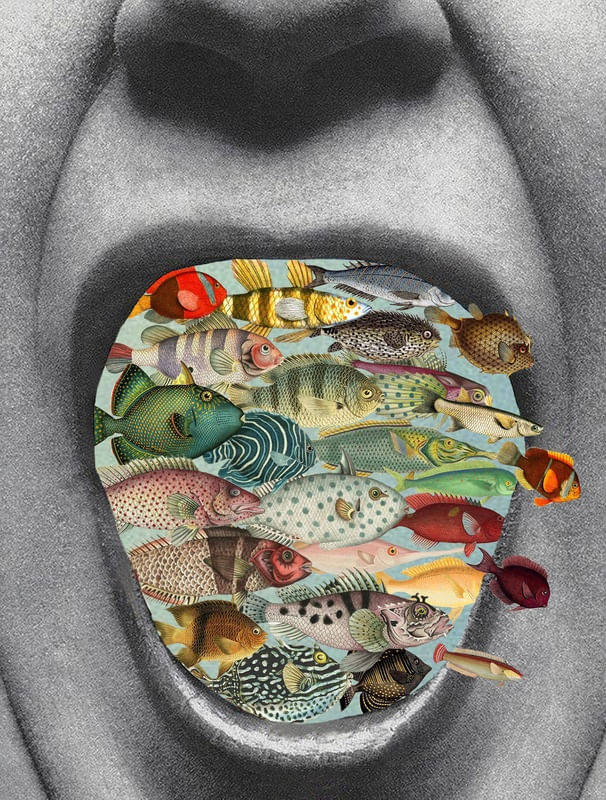 BOCA DE PEIXES