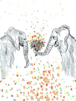 ELEFANTE S2