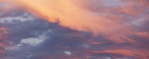 COTTON CANDY CLOUD