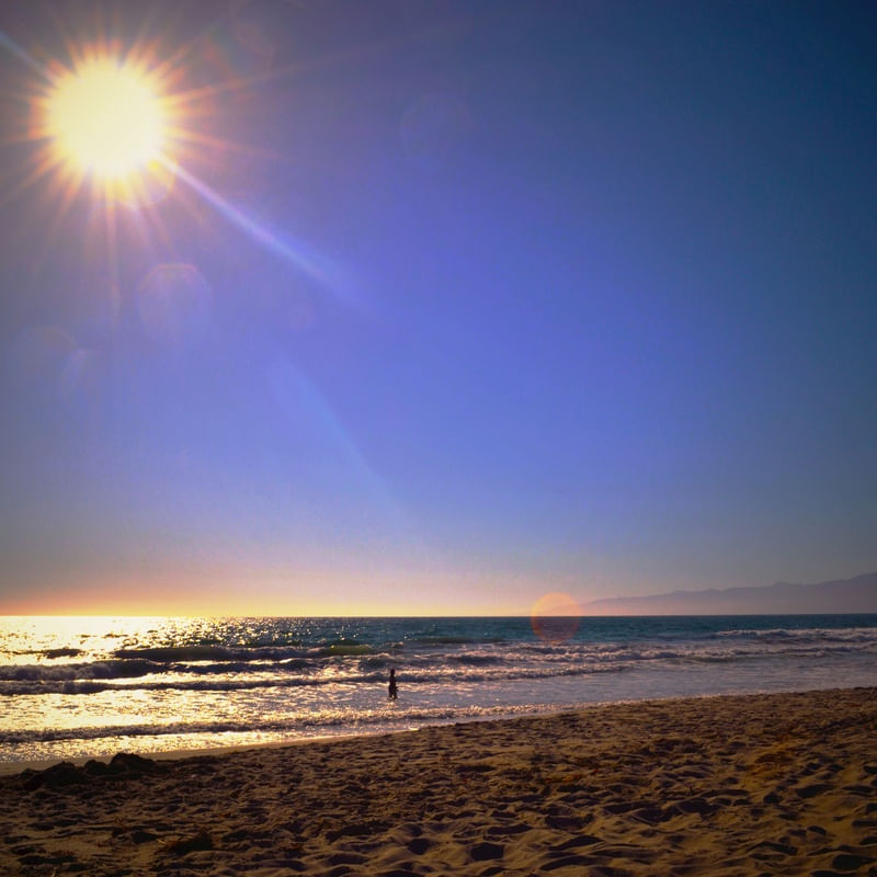 VENICE BEACH SUNSET