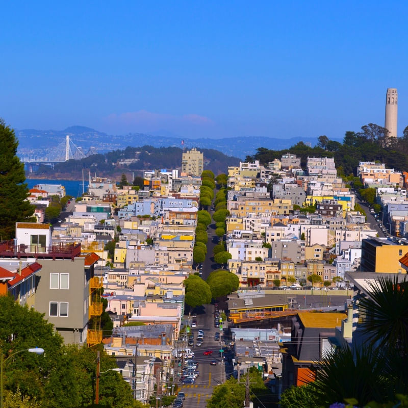 SAN FRAN
