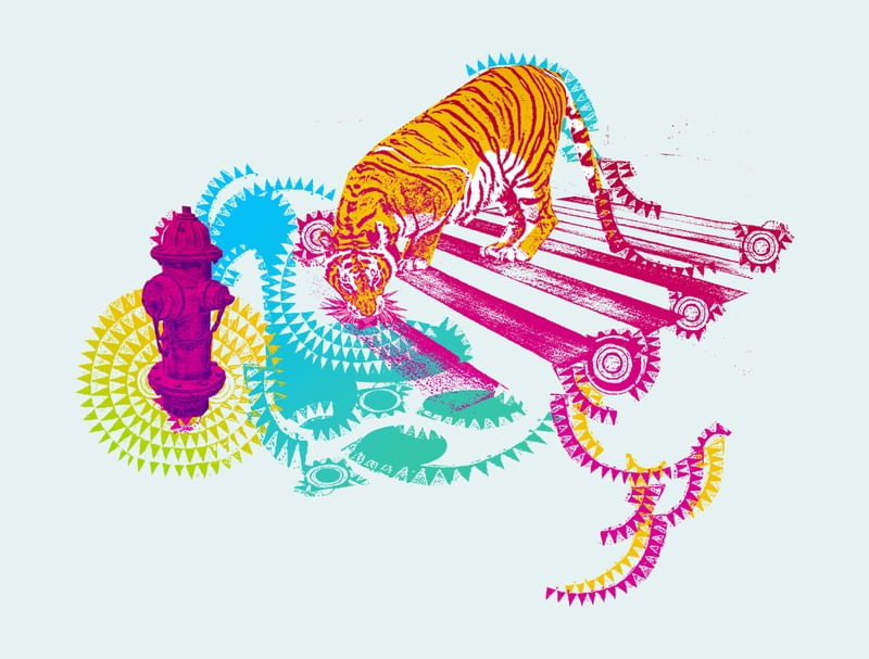 TIGRE URBANO