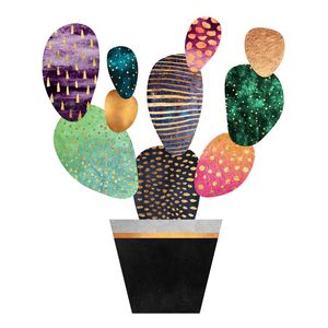 PRETTY CACTUS