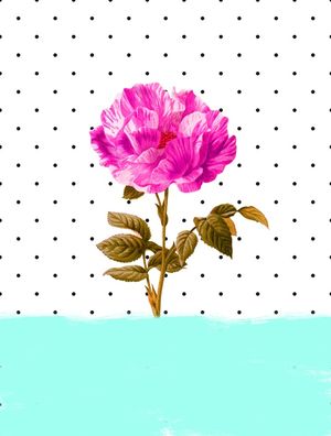 NEW FLOWER