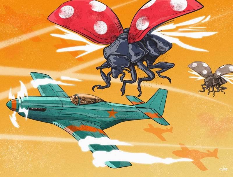 JOANINHA E AVIÕES