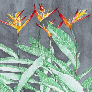 HELICÔNIA AQUARELA