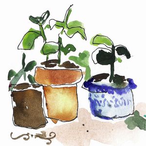 VASINHOS AQUARELA