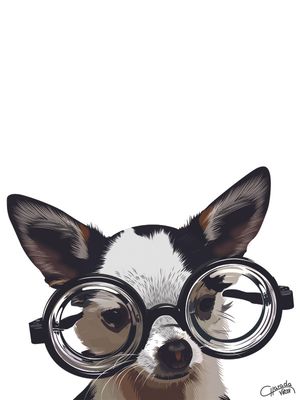 DOG PINSCHER