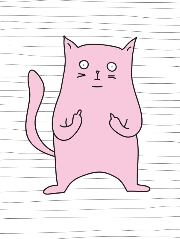 RUDE CAT