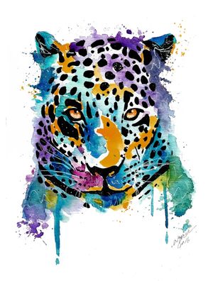 JAGUAR COLORS
