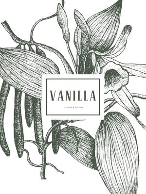 BOTANICAL - VANILLA