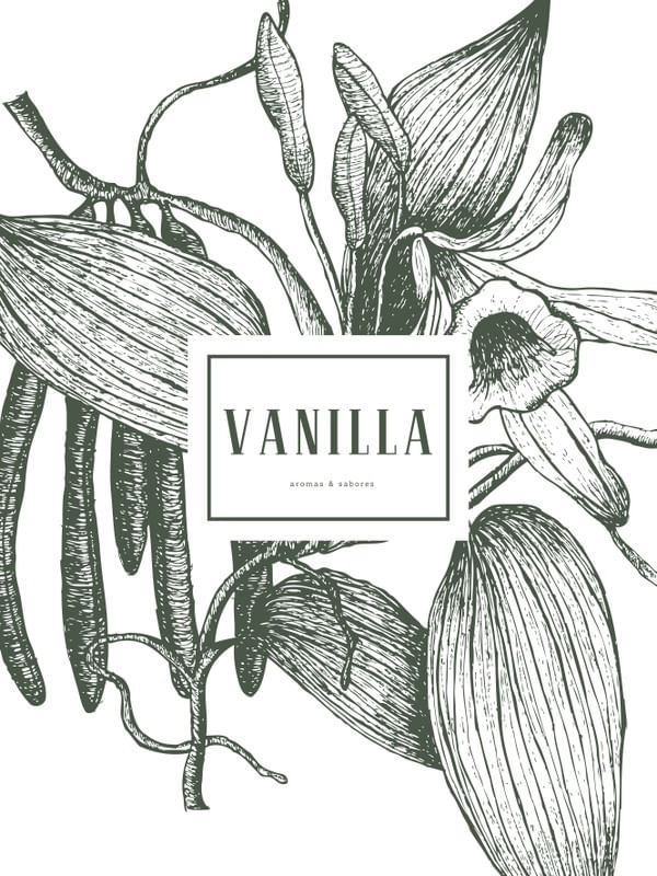 BOTANICAL - VANILLA