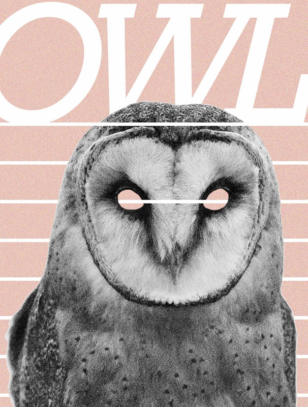 O W L I N E S