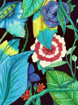 PLANTAS EM HARMONIA