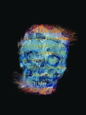 SKULL FAUNA