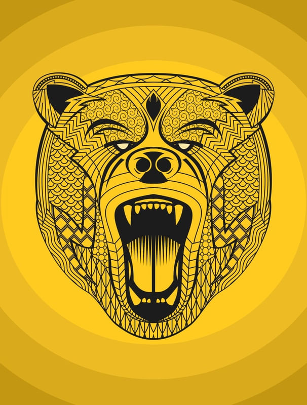 PODER DE URSO