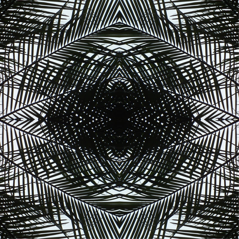 MANDALA (5)