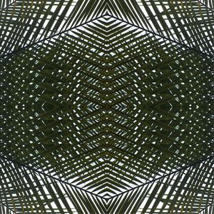 MANDALA (7) - TELLES