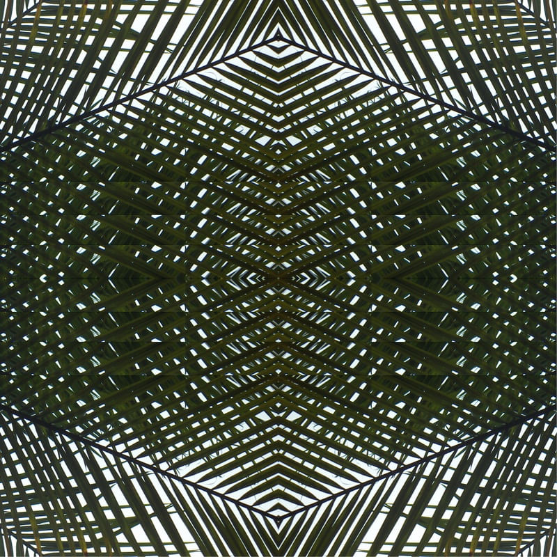 MANDALA (7) - TELLES