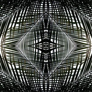 MANDALA (10) - TELLES