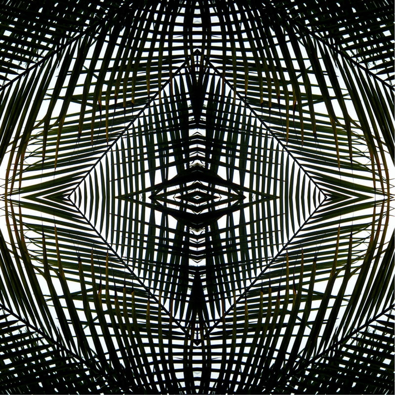 MANDALA (10) - TELLES