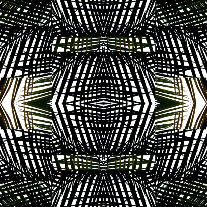 MANDALA (11) - TELLES