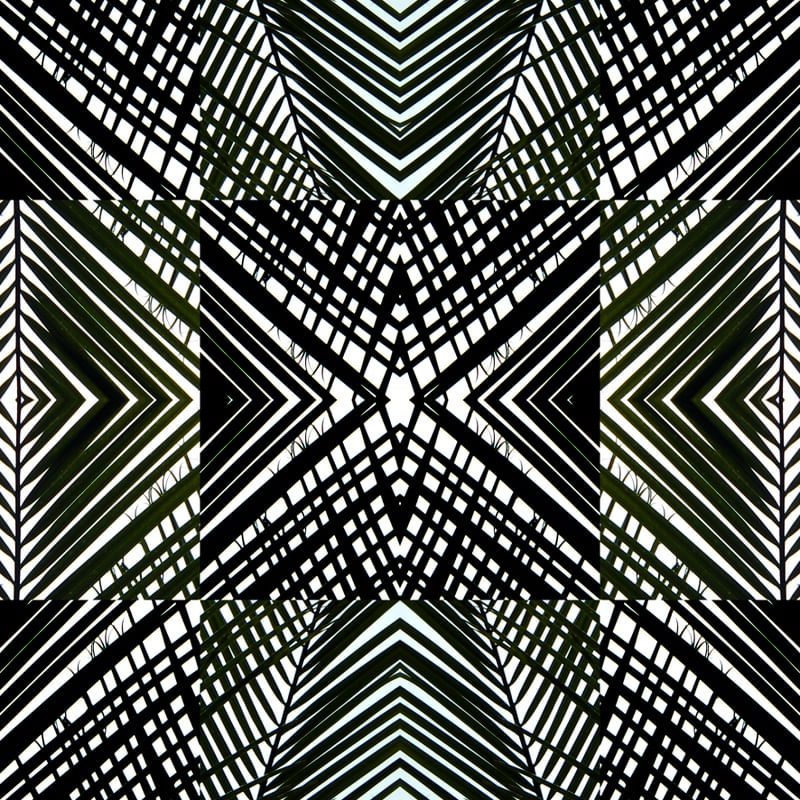MANDALA (12) - TELLES