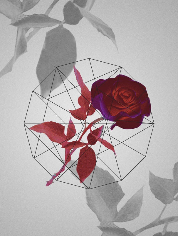 ROSEMETRIC