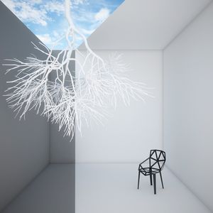 NATUREZA FRIA 01