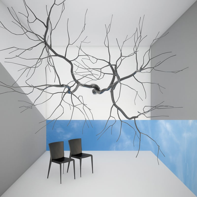NATUREZA FRIA 02