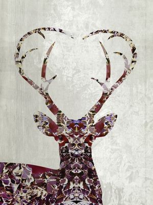 MY DEER LOVE
