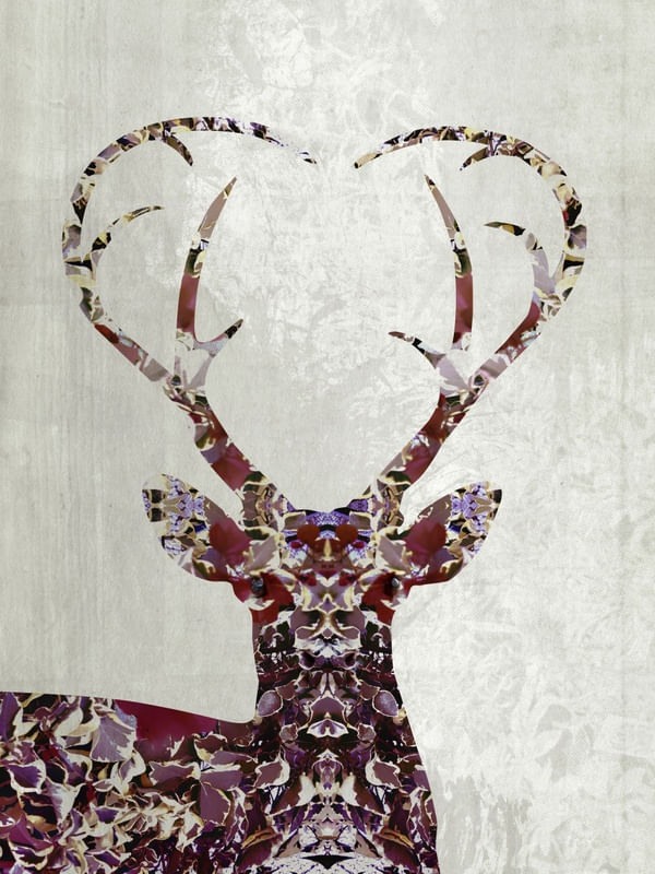 MY DEER LOVE