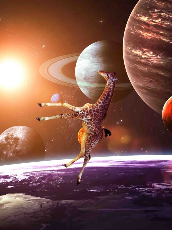 GIRAFA ASTRONAUTA