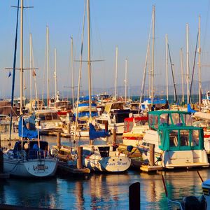 PIER 39 SFO