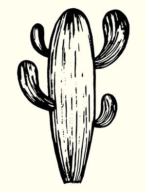 CACTUS BLISS