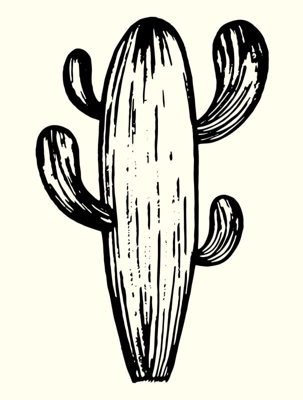 CACTUS BLISS