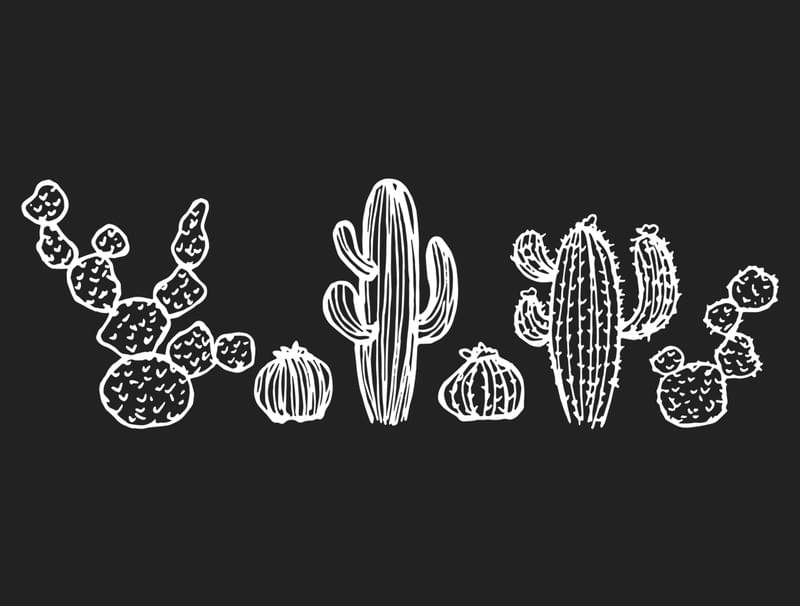 CACTUS FAMILY BLACK