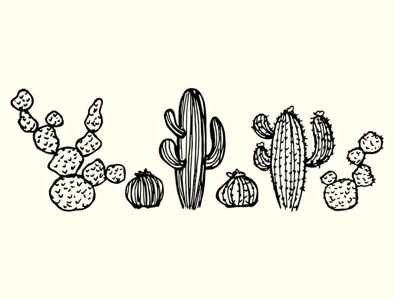 CACTUS FAMILY