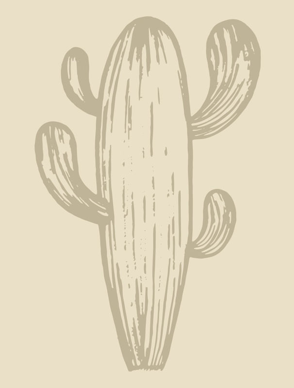 CACTUS LIGHT