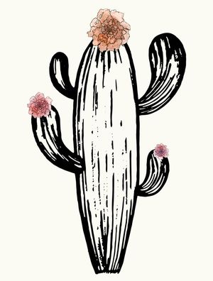 CACTUS AND FLOWERS