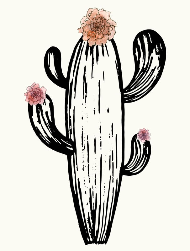 CACTUS AND FLOWERS