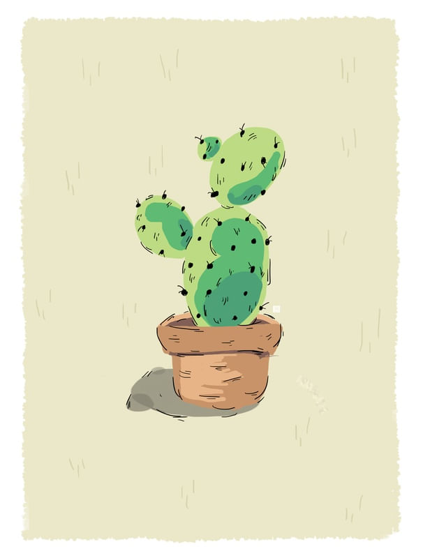 CACTUS E VASO