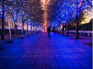 BLUE NIGHT