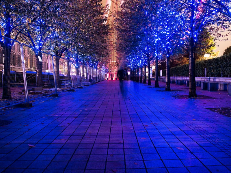 BLUE NIGHT