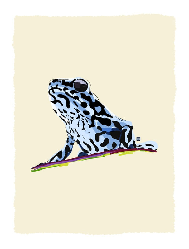 BLUE FROG