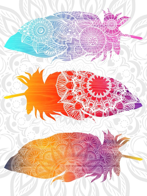 FEATHERS II