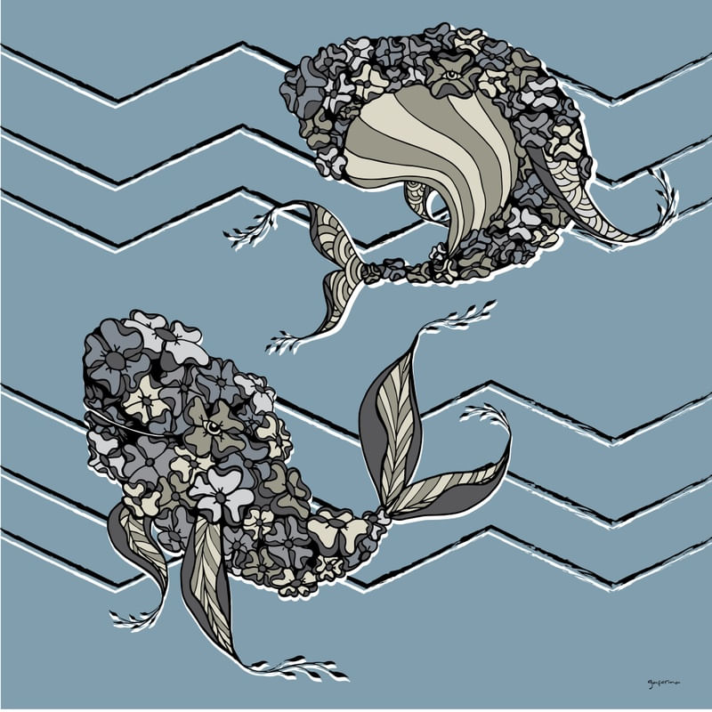 BALEIAS GAFORINA