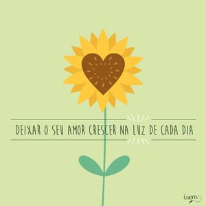 AMOR E LUZ