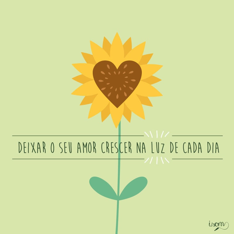AMOR E LUZ
