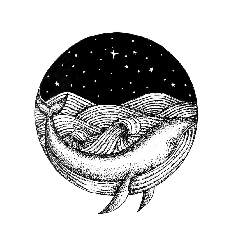 DREAM WHALE